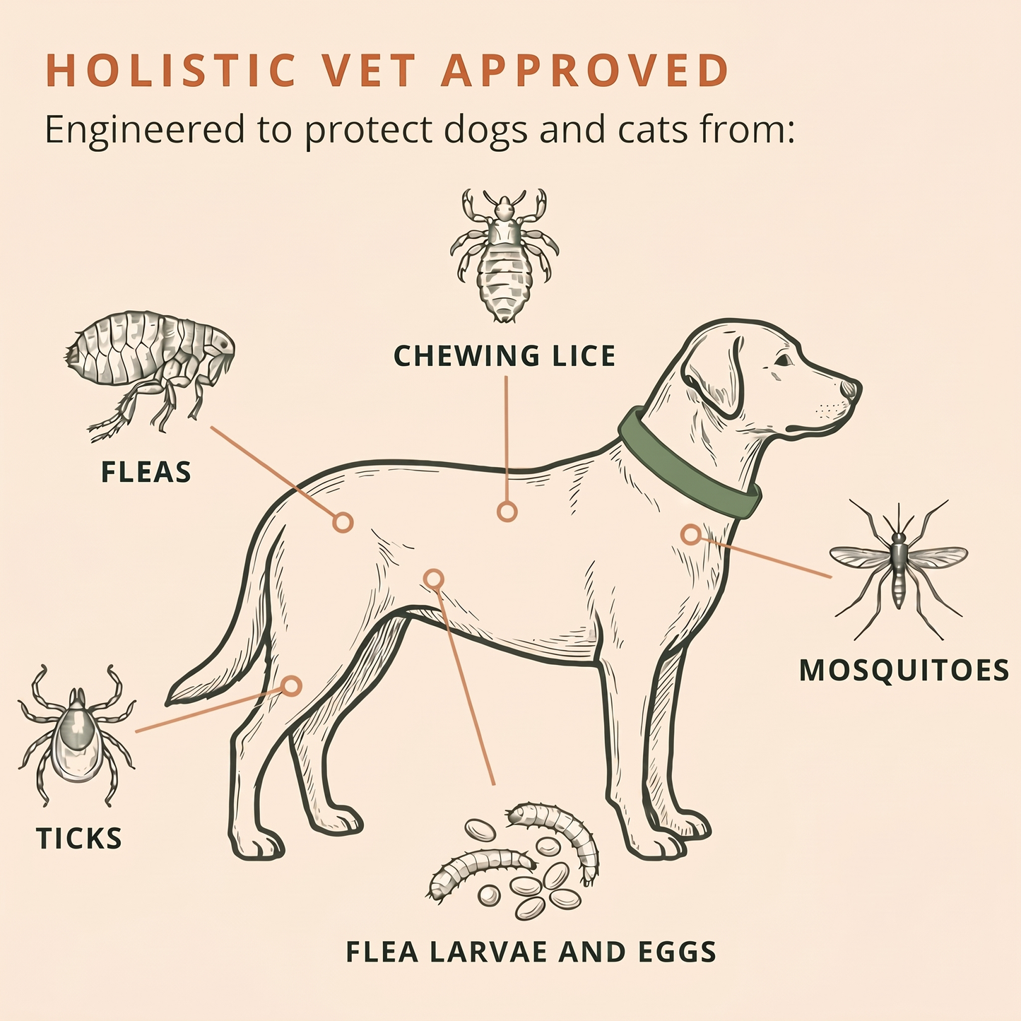 Wildroot™ Botanical Flea, Tick & Mosquito Collar