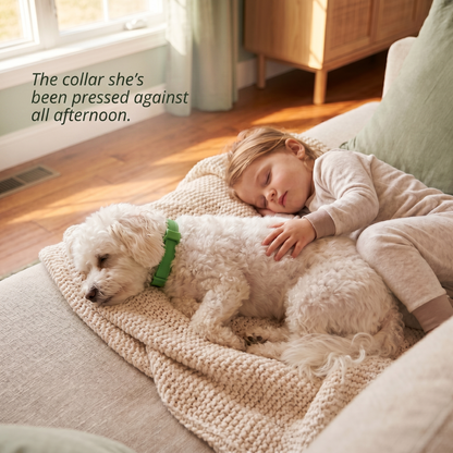 Wildroot™ Botanical Flea, Tick & Mosquito Collar